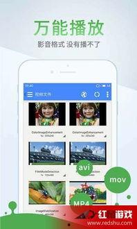 欧美日韩黄龟视频,探寻异域龟文化魅力